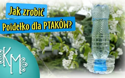 Jak zrobić zraszacz do wody? DIY z butelki PET i PCV tanio i prosto!