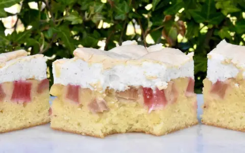 Saftig rabarberkaka i långpanna med fluffigt marängtäcke. Perfekt för fikat utomhus bland grönska.