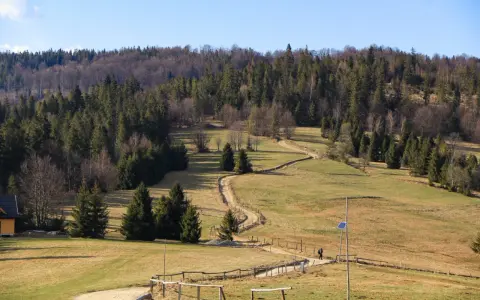 Kręta ścieżka prowadzi przez zieloną halę boracza, otoczoną gęstym lasem. W oddali widać samotnego turystę.