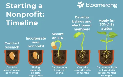 Timeline for starting a nonprofit: research, incorporate, secure EIN, develop bylaws, apply for 501(c)(3) status. Each step is illustrated as a growing seedling.