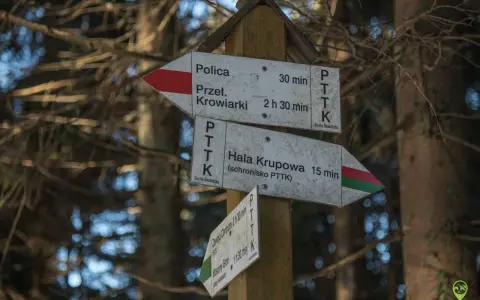 Rozdroże szlaków PTTK. Wskazówki kierują do Hali Krupowej (15 min), Przełęczy Krowiarki (2h 30 min) i Policy (30 min).