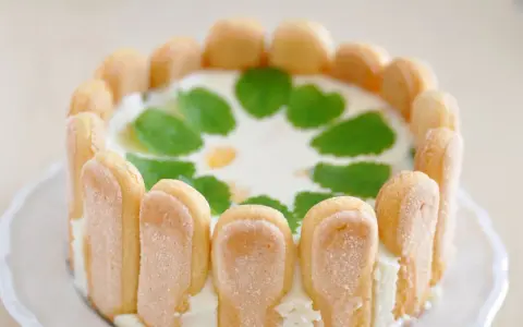 Un délicieux cheesecake citron, entouré de biscuits à la cuillère et décoré de feuilles de menthe.