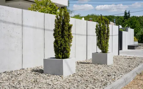 Jak wysokie mogą być tuje przy płocie? Sprawdź przepisy i porady