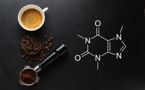 Kawa, ziarna, portafilter i wzór chemiczny kofeiny. Czy kofeina to narkotyk? To pytanie zadaje sobie wielu miłośników kawy.