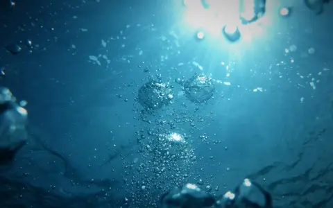Burbujas ascienden en el agua azul, reflejando la luz del sol. La claridad del agua sugiere un entorno saludable.