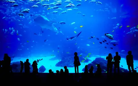 Poema del Mar: Gran Canaria bilety, dojazd, atrakcje. Czy warto?