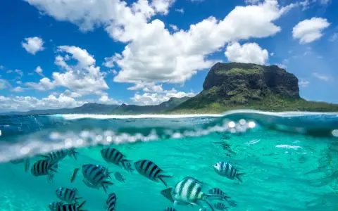 Podwodny świat Mauritiusa zachwyca. Uważaj na prądy, ale podziwiaj ryby i górę Le Morne Brabant.