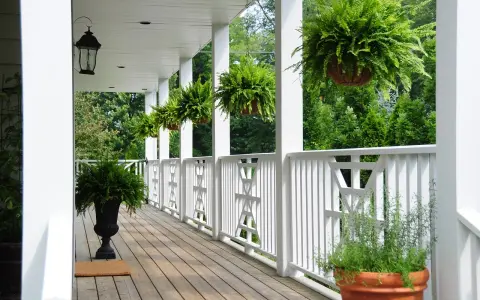 Porche con helechos colgantes y macetas de hierbas, creando un ambiente natural con plantas que ahuyentan los mosquitos.