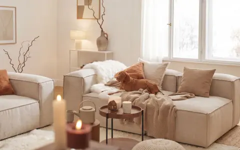 Un chien brun se repose sur un canapé dans un salon cosy. Des coussins douillets, des plaids et des bougies créent une atmosphère chaleureuse.