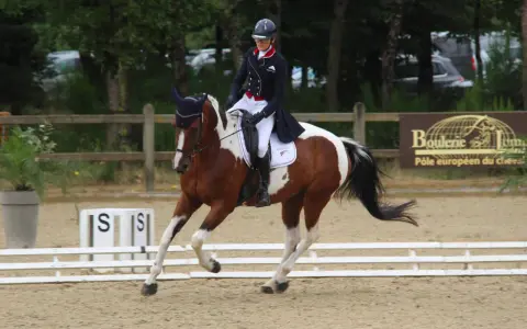 Cavalier en tenue d'équitation effectuant une incurvation parfaite avec son cheval pie.