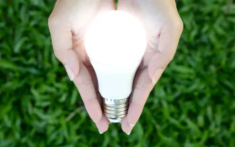 Mains de femme tenant une ampoule flamme torsadée lumineuse, symbole d'une idée brillante et d'énergie verte.