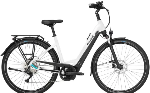 Weißes Pegasus Premio Evo 10 E-Bike mit Gepäckträger und Schwalbe Marathon Plus Reifen. Ein tolles Rad für den Pegasus Premio Evo 10 Test.