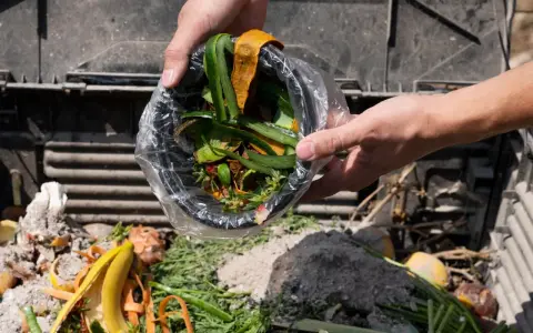 Ręce wsypują do kompostownika resztki roślinne, tworząc cenny nawóz organiczny z odpadów roślinnych.