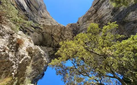Vue plongeante sur le sentier du Portalas, entre falaises rocheuses et feuillage verdoyant sous un ciel bleu éclatant.