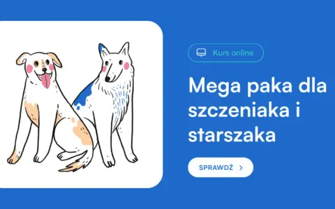 Szczeniak na dworze? Sprawdź, kiedy jest gotowy i jak go przygotować!