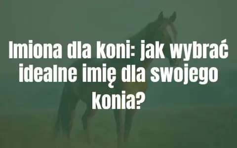 Jak nazwać konia? Znajdź idealne imię i poznaj zasady!