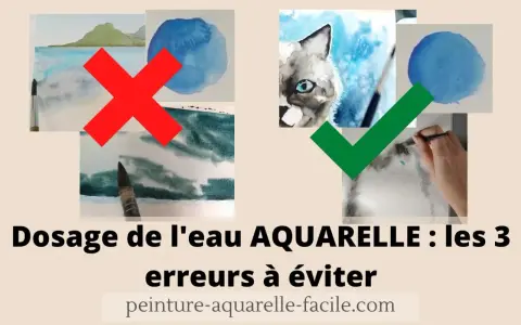 Exemples de peinture à l'acrylique et à l'eau : une croix rouge sur des paysages et une coche verte sur un chat.