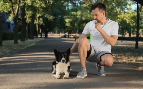 Trener z gwizdkiem dla psa w parku, ćwiczący ze swoim czarnym i białym psem rasy Border Collie.