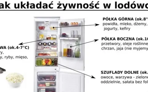 Otwarta lodówka z zaznaczonymi półkami i produktami spożywczymi, obok ryba i miska z twarożkiem.