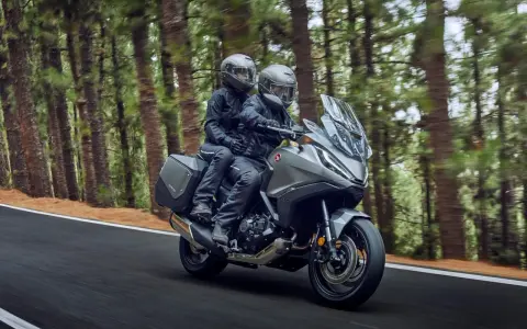 Pareja en moto, disfrutando de un viaje por un bosque. La moto, su primera moto, es gris y moderna, con alforjas.