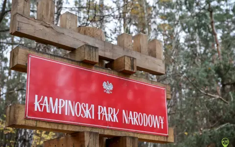 Drewniany drogowskaz z napisem "KAMPINOSKI PARK NARODOWY" i godłem Polski. W tle las.