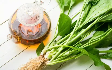 Thé infusé dans une théière en verre à côté de plantain frais, évoquant les bienfaits de cette plante.
