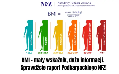 Grafika pokazuje skalę BMI od niedowagi (poniżej 18,5) do otyłości III stopnia. Wskaźnik BMI 15 oznacza znaczną niedowagę.