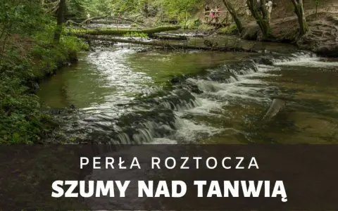Malownicze szumy nad Tanwią, gdzie woda spływa po kamieniach, tworząc kaskady. W tle zielony las i ścieżka z kładką.