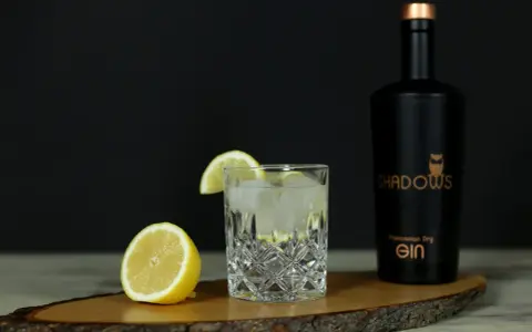 Erfrischender Gin Tonic mit Zitrone, Eis und einer Flasche "Shadows" Gin. Die perfekten gin tonic zutaten für einen lauen Abend.