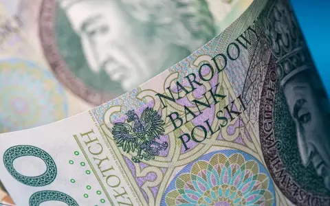 Zbliżenie na polskie banknoty. Kto płaci podatek od pożyczki? Narodowy Bank Polski i jego znaki wodne.