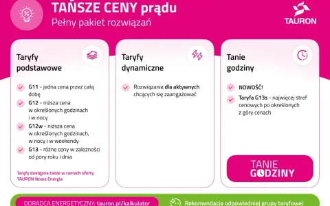 Porównanie taryf PGE: podstawowe, dynamiczne i tanie godziny. Wybierz najlepszą ofertę dla siebie.