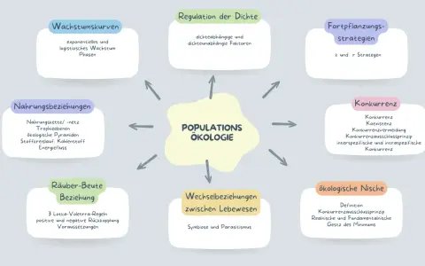 Mindmap zur Populationsökologie: Wachstum, Regulation, Fortpflanzung, Konkurrenz, Räuber-Beute-Beziehungen, Stoffkreislauf, Nischen.