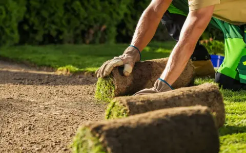 Hombre con guantes coloca rollos de césped en tierra preparada. Es el momento ideal para saber cuándo plantar césped y tener un jardín verde.