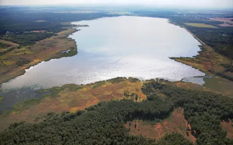Rozległe jezioro Świerklaniec otoczone lasami i trzcinami, z widokiem na pola i zabudowania w oddali.