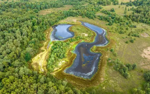 Luftaufnahme eines naturbelassenen **witte venn** mit dunklen Wasserflächen, umgeben von üppigem Grün und Bäumen.