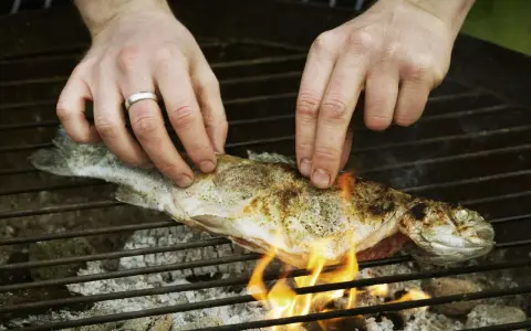 Hände legen einen Fisch auf den Grill. Mit etwas Übung gelingt das Fisch grillen ohne kleben.