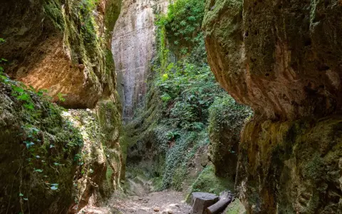 Sentiero tra le suggestive cave etrusche di Pitigliano, con pareti rocciose ricoperte di muschio e vegetazione.