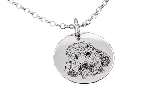 Colgante mascota personalizado de plata con grabado de un perro.