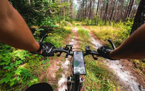Józefów Roztocze: Atrakcje, Trasy Rowerowe i Niezapomniany Wypoczynek