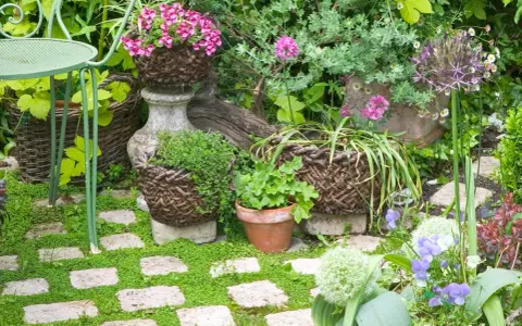Jardin fleuri avec des paniers en osier, des pierres et des fleurs violettes. Un chemin de dalles envahi par la verdure, idéal pour savoir comment éviter que la mousse revienne.