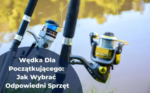 Dwa kołowrotki i wędki, idealne wyposażenie wędkarza na początek przygody z łowieniem ryb.