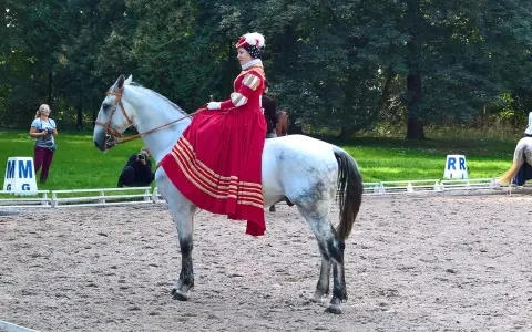 Amazonka konie: Co to znaczy? Poznaj świat jazdy w damskim siodle