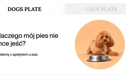 Uroczy piesek leży obok miski z jedzeniem, ale wygląda na to, że mój pies nie chce jeść.