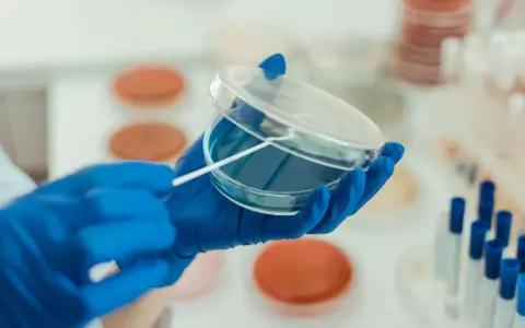 W laboratorium chemicznym probówka służy do przechowywania, mieszania i reakcji substancji. Tutaj badacz pobiera próbkę do analizy.