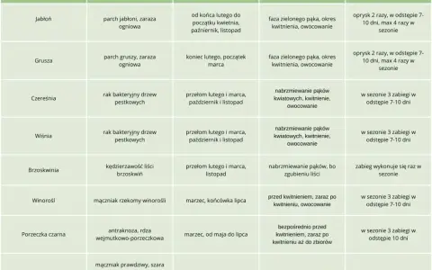 Kiedy pryskać miedzianem drzewa owocowe? Tabela podpowiada terminy oprysków jabłoni, grusz, czereśni, wiśni, brzoskwiń, winorośli, porzeczek i borówek.