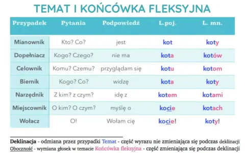 Tabela pokazuje odmianę rzeczownika "kot" przez przypadki, odpowiadając na pytania.