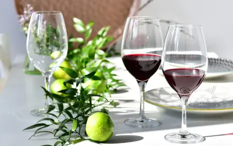 Dwa kieliszki z czerwonym winem, zielone limonki i gałązki tworzą elegancką kompozycję. Idealna sceneria, by dowiedzieć się, jak pić porto.