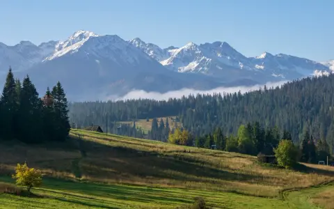 Gubałówka wysokość. Majestatyczne Tatry z ośnieżonymi szczytami górują nad zielonymi zboczami i gęstym lasem.