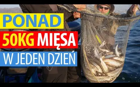 Kiedy łowić śledzie w Bałtyku? Odkryj najlepsze sezony i miejsca