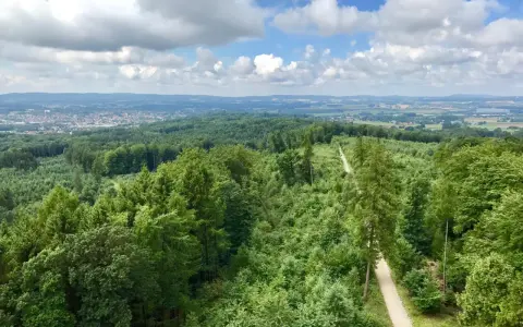 Blick über grüne Wälder und eine Stadt in der Ferne bei bewölktem Himmel.